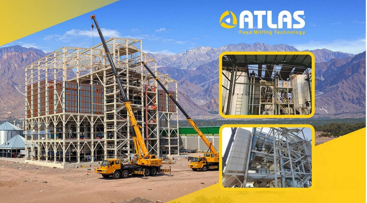 إنشاء مصنع أعلاف تسليم مفتاح في مصر: القوة الهندسية لشركة أطلس يام (Atlas Yem)